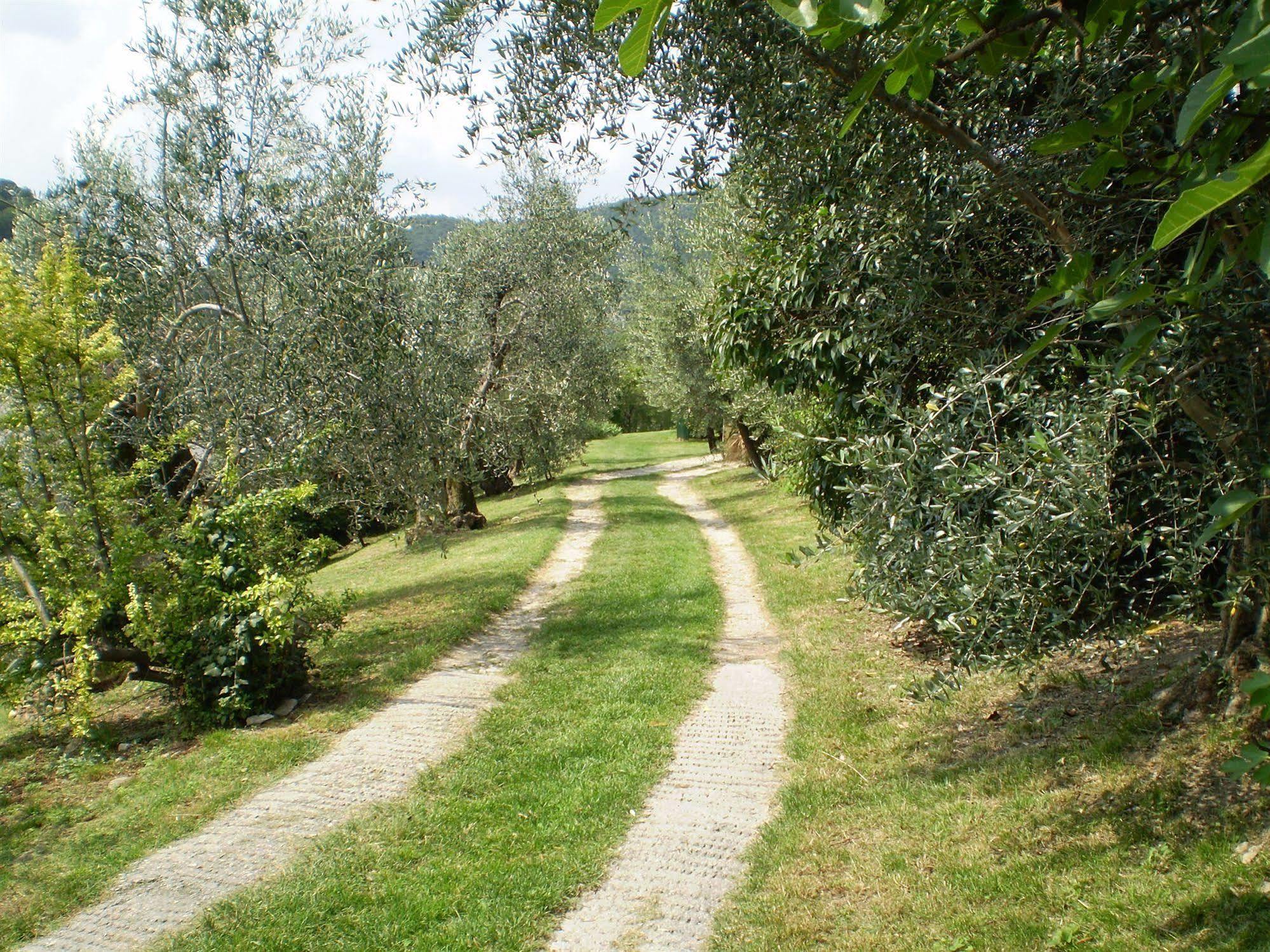 Agriturismo Renzano garden apartments Salò Esterno foto